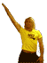 cassé.gif